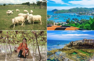 Tour Cần Thơ Ninh Thuận 3 ngày 3 đêm