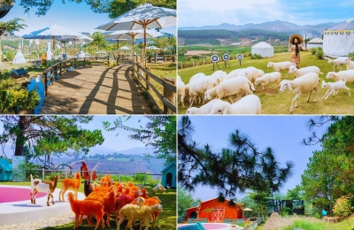 Tour Đà Lạt 3 ngày 3 đêm
