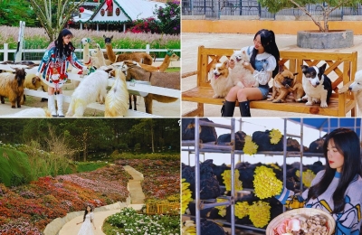 Tour Đà Lạt 4 ngày 3 đêm