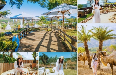 Tour Đà Nẵng Đà Lạt 3 ngày 2 đêm