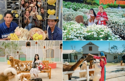 Tour Đà Nẵng Đà Lạt 4 ngày 3 đêm