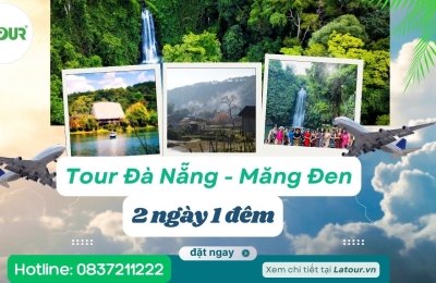 Tour Đà Nẵng - Măng Đen 2 ngày 1 đêm 