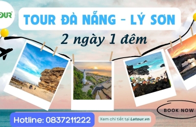 Tour Đảo Lý Sơn 2 ngày 1 đêm đi từ Đà Nẵng