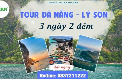 Tour Đảo Lý Sơn 3 ngày 2 đêm đi từ Đà Nẵng