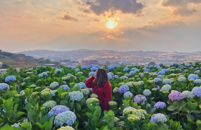 Tour du lịch Đà Lạt 1 ngày đón tại Ninh Thuận