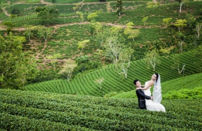 Tour du lịch nhà vườn tại Đà Lạt