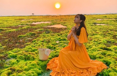 Tour du lịch Phan Rang 2 ngày 1 đêm