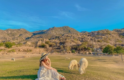 Tour du lịch Phan Rang- Mũi Né- Nha Trang 5 ngày 4 đêm