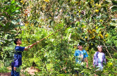 Tour Gia Lai - Mỹ Tho - Cần Thơ - Cà Mau - Bạc Liêu 3 Ngày 2 Đêm