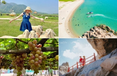 Tour Gia Lai Ninh Thuận 3 ngày 3 đêm