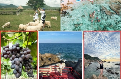 Tour Gia Lai Phan Rang 3 ngày 2 đêm