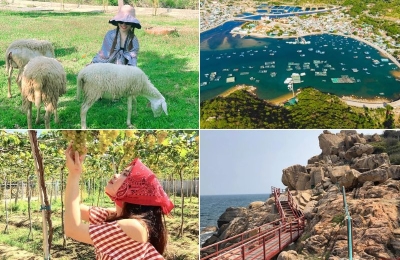 Tour Hà Nội Phan Rang 3 ngày 2 đêm