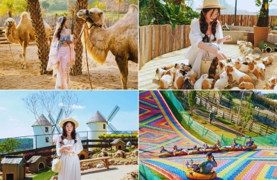 Tour Hải Phòng Đà Lạt 3 ngày 2 đêm