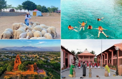 Tour Hải Phòng Phan Rang 3 ngày 2 đêm