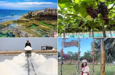 Tour Huế Ninh Thuận 3 ngày 3 đêm