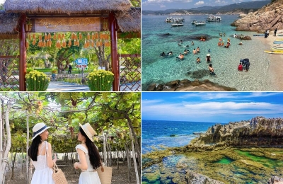 Tour Hưng Yên Phan Rang 3 ngày 2 đêm