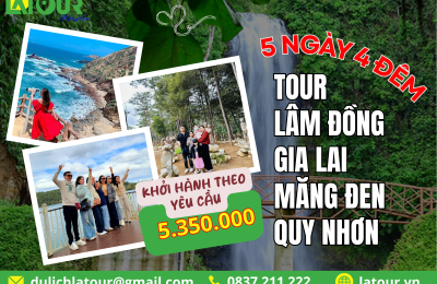 Tour Lâm Đồng - Gia Lai - Măng Đen - Quy Nhơn 5 Ngày 4 Đêm
