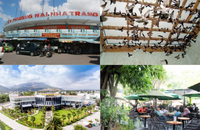 Tour Long An - Nha Trang - Đà Lạt 5 ngày 4 đêm 