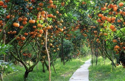 Tour Miền Tây 3 Ngày 2 Đêm Đi Từ Quảng Nam
