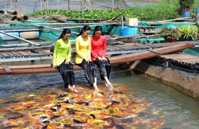 Tour Mỹ Tho - Châu Đốc - Cần Thơ 3 Ngày 2 Đêm