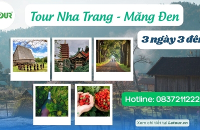 Tour Nha Trang Măng Đen 3 ngày 3 đêm