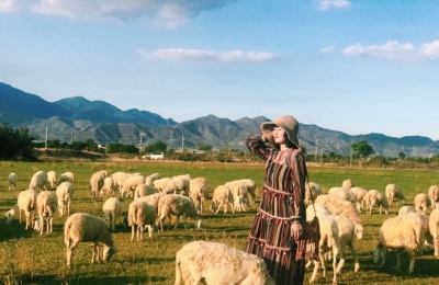 Tour Ninh Thuận 3 ngày 2 đêm