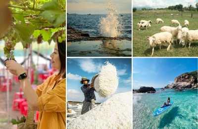 Tour Phú Yên Ninh Thuận Nha Trang 4 ngày 3 đêm