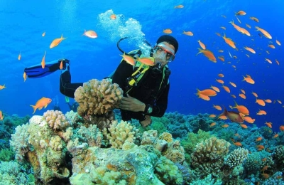 Tour Phú Yên Quy Nhơn 2 ngày 1 đêm