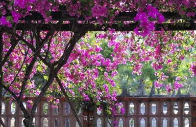Tour Quảng Nam Quy Nhơn 3 ngày 2 đêm