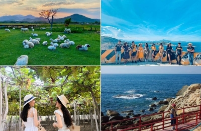 Tour Quảng Ngãi Ninh Thuận 3 ngày 3 đêm