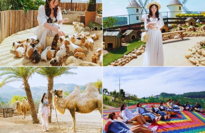 Tour Quảng Trị Đà Lạt 3 ngày 2 đêm