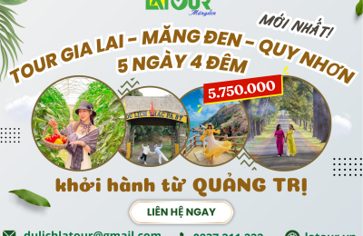 Tour Quảng Trị - Gia Lai - Măng Đen - Quy Nhơn 5 Ngày 4 Đêm