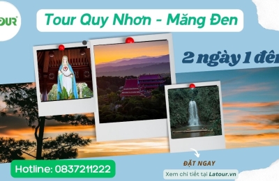 Tour Quy Nhơn Măng Đen 2 ngày 1 đêm