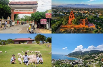 Tour Quy Nhơn Phan Rang 3 ngày 2 đêm