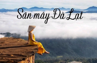 Tour săn mây Đà Lạt - Săn mây tại thảm gỗ săn mây Cầu Đất