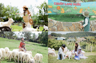 Tour Sóc Trăng Đà Lạt 4 ngày 3 đêm