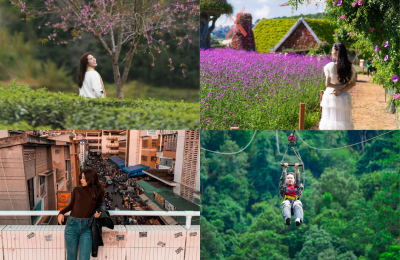 Tour Thái Bình Đà Lạt 4 ngày 3 đêm