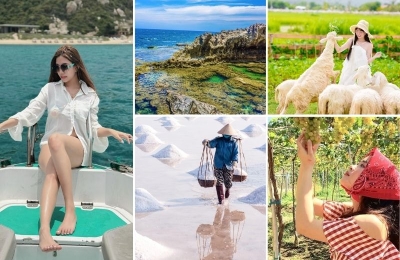 Tour Thái Bình Ninh Thuận Nha Trang 4 ngày 3 đêm