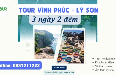 Tour Vĩnh Phúc - Lý Sơn 3 Ngày 2 Đêm