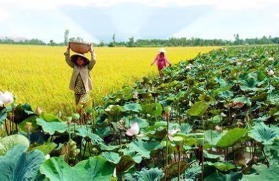 Tour Vũng Tàu - Mỹ Tho - Cần Thơ - Sóc Trăng - Bạc Liêu - Cà Mau 4 Ngày 3 Đêm
