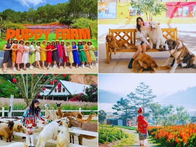 Chương trình Tour Đà Lạt 2 ngày 2 đêm