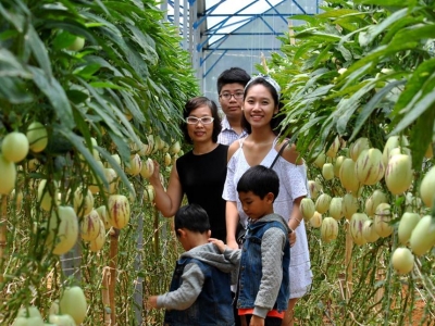 Tour du lịch Đà Lạt 1 ngày giá rẻ