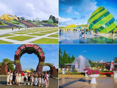 Tour Bến Tre Đà Lạt 3 ngày 2 đêm