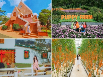 Tour Bình Dương Đà Lạt 3 ngày 2 đêm