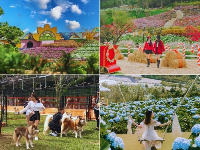 Tour Bình Phước Đà Lạt 3 ngày 2 đêm