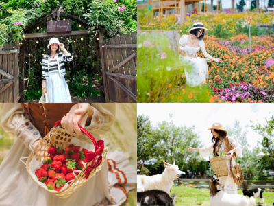 Tour Bình Phước Đà Lạt 4 ngày 3 đêm