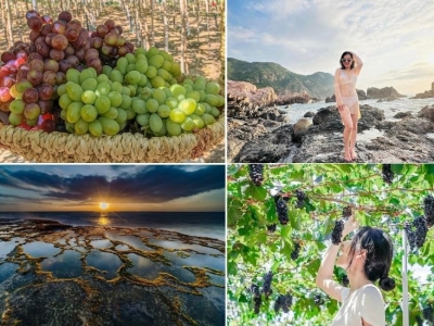 Tour Bình Phước Ninh Thuận 3 ngày 3 đêm