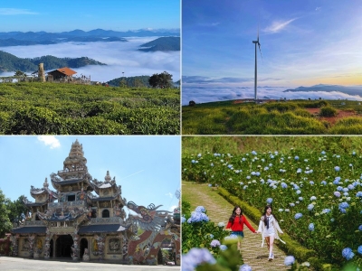 Tour Cà Mau Đà Lạt 3 ngày 2 đêm