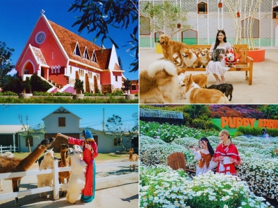 Tour Cần Thơ Đà Lạt 4 ngày 3 đêm