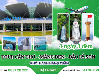 Tour Cần Thơ - Măng Đen - Đảo Lý Sơn 4 Ngày 3 Đêm